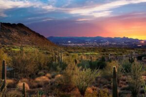 Scottsdale desert views