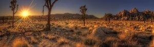 desert sunset 900x2880 960x295 j5czox